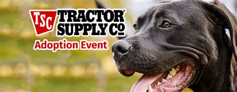 Gloversville Tractor Supply Co. hosting pet adoption event